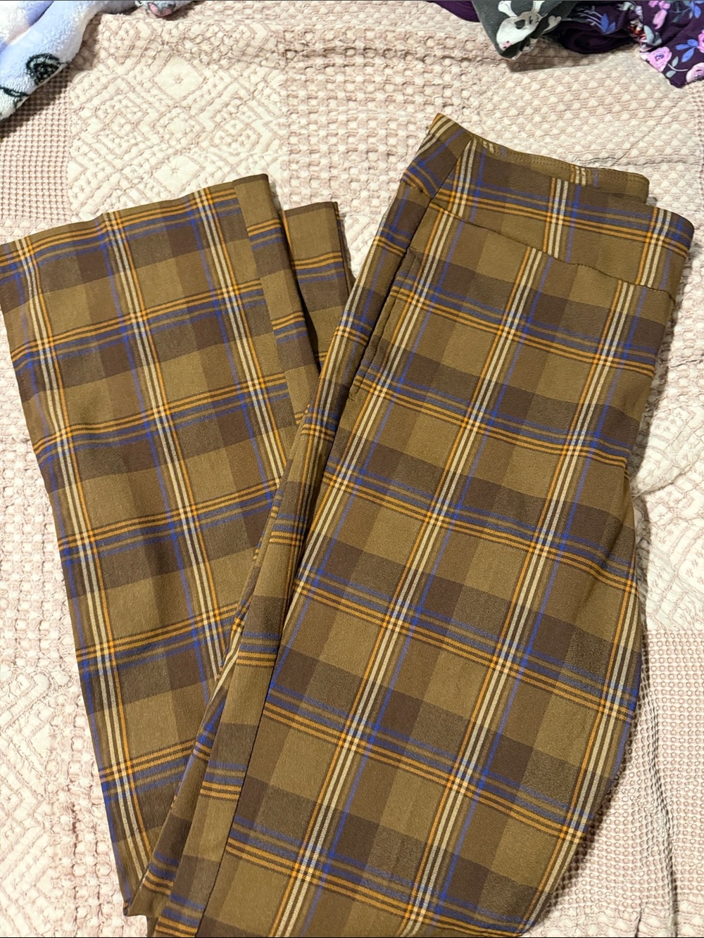 Cato Olive Plaid Boot Cut Pants with Blue & Gold Stripes